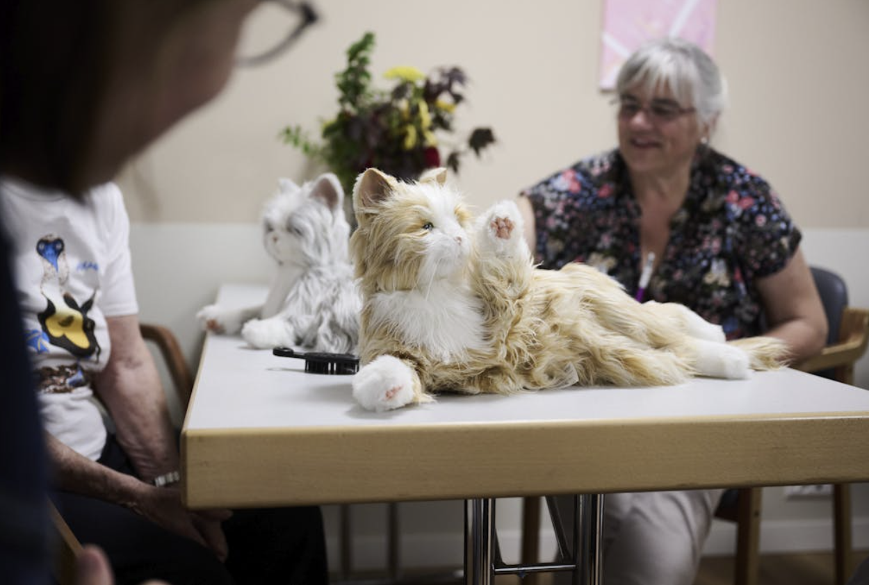 thérapie avec chats