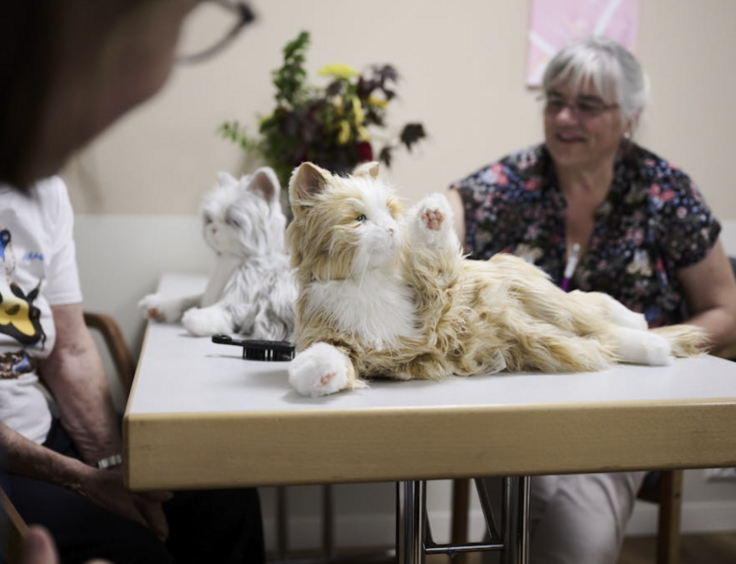 thérapie avec chats